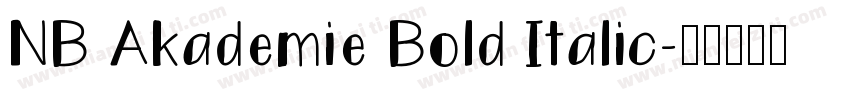 NB Akademie Bold Italic字体转换